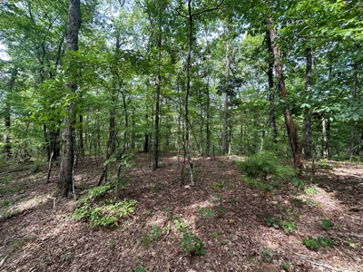10+/- Acres of Land For Sale in Van Buren County, Arkansas - image 22