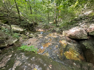 10+/- Acres of Land For Sale in Van Buren County, Arkansas - image 6