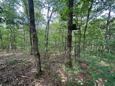 10+/- Acres of Land For Sale in Van Buren County, Arkansas - image 21