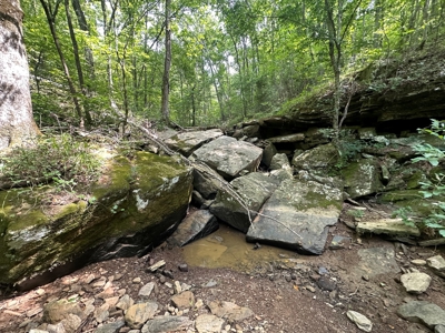 10+/- Acres of Land For Sale in Van Buren County, Arkansas - image 9
