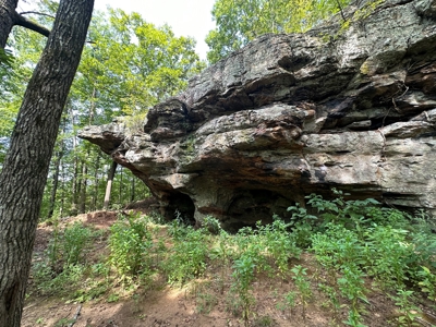 10+/- Acres of Land For Sale in Van Buren County, Arkansas - image 15