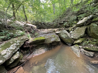 10+/- Acres of Land For Sale in Van Buren County, Arkansas - image 4