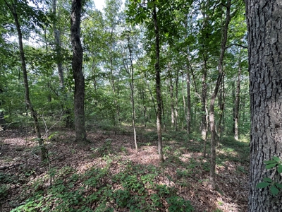 10+/- Acres of Land For Sale in Van Buren County, Arkansas - image 29