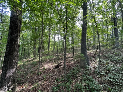 10+/- Acres of Land For Sale in Van Buren County, Arkansas - image 27