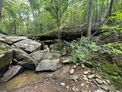 10+/- Acres of Land For Sale in Van Buren County, Arkansas - image 8