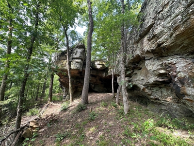 10+/- Acres of Land For Sale in Van Buren County, Arkansas - image 17