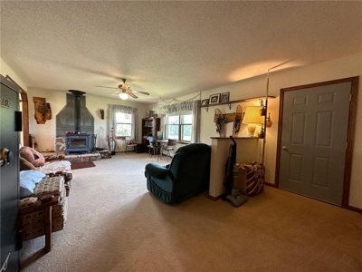 Reduced:Home on 80 Acres of Land For Sale in Willow River MN - image 10