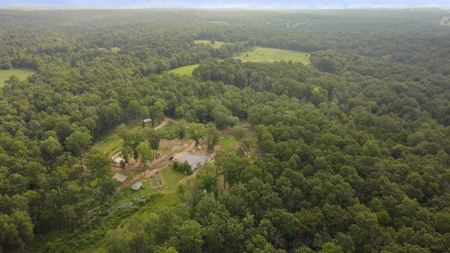 Barndominium  with Lush Pasture and Mature Timber for Sale - image 17