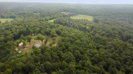Barndominium  with Lush Pasture and Mature Timber for Sale - image 16