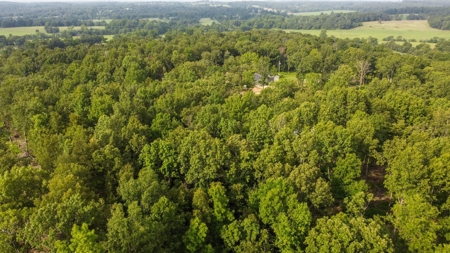 Barndominium  with Lush Pasture and Mature Timber for Sale - image 12