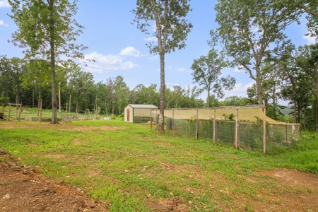 Barndominium  with Lush Pasture and Mature Timber for Sale - image 32