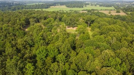 Barndominium  with Lush Pasture and Mature Timber for Sale - image 11