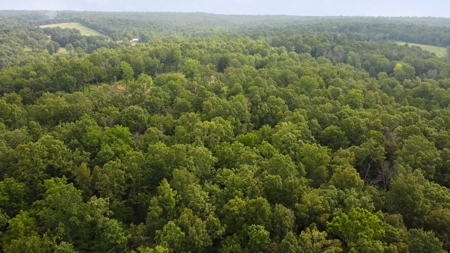 Barndominium  with Lush Pasture and Mature Timber for Sale - image 15
