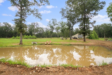 Barndominium  with Lush Pasture and Mature Timber for Sale - image 30