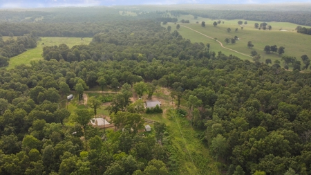 Barndominium  with Lush Pasture and Mature Timber for Sale - image 18