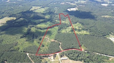 Ideal 60 Acre Farm, Estate or top-class hunting tract - image 1