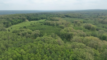 Hunting & Recreational Land 3000 Acres for sale Lachine MI - image 28