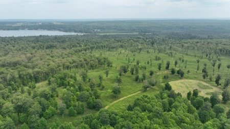 Hunting & Recreational Land 3000 Acres for sale Lachine MI - image 29