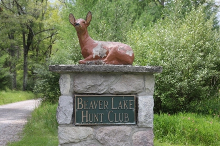 Hunting & Recreational Land 3000 Acres for sale Lachine MI - image 25