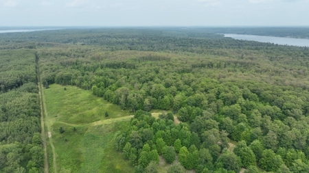 Hunting & Recreational Land 3000 Acres for sale Lachine MI - image 30