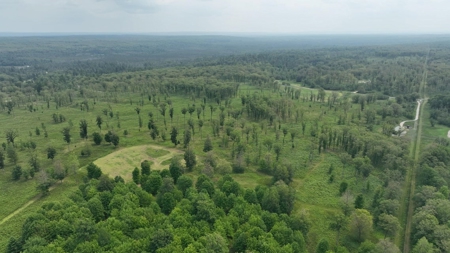 Hunting & Recreational Land 3000 Acres for sale Lachine MI - image 26