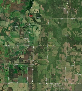 Wooded Property for Sale in Cedar County Missouri - image 3