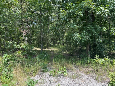 Wooded Property for Sale in Cedar County Missouri - image 1