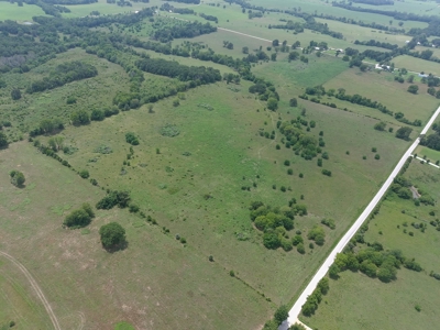 Beautiful 60 +/- Acre Grass Farm North of Halfway, MO - image 9