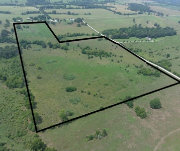 Beautiful 60 +/- Acre Grass Farm North of Halfway, MO - image 8