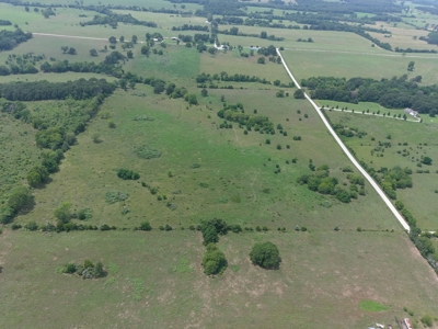 Beautiful 60 +/- Acre Grass Farm North of Halfway, MO - image 10