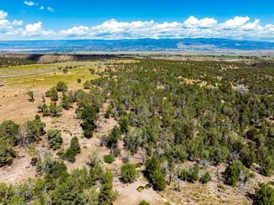 Crawford Colorado Farm & Ranch on Fruitland Mesa - image 24