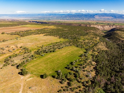 Crawford Colorado Farm & Ranch on Fruitland Mesa - image 8
