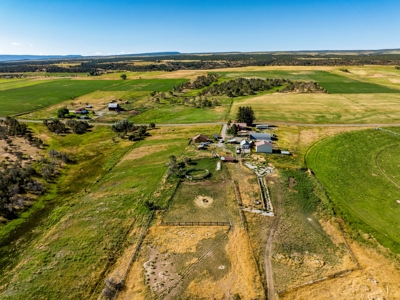 Crawford Colorado Farm & Ranch on Fruitland Mesa - image 10