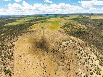 Crawford Colorado Farm & Ranch on Fruitland Mesa - image 26