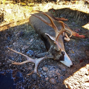 Crawford Colorado Farm & Ranch on Fruitland Mesa - image 48