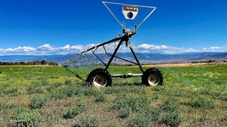 Crawford Colorado Farm & Ranch on Fruitland Mesa - image 44