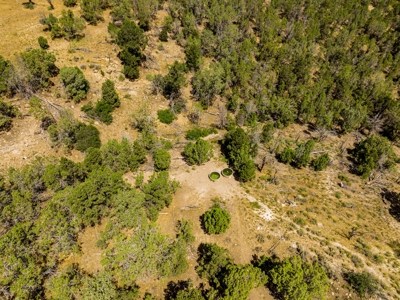 Crawford Colorado Farm & Ranch on Fruitland Mesa - image 23