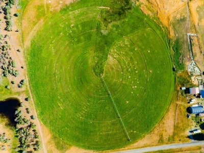 Crawford Colorado Farm & Ranch on Fruitland Mesa - image 6