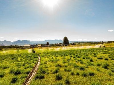 Crawford Colorado Farm & Ranch on Fruitland Mesa - image 5