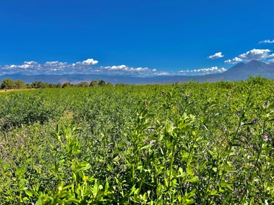 Crawford Colorado Farm & Ranch on Fruitland Mesa - image 45