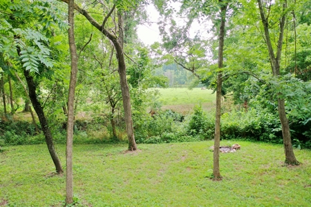 Large Family Home in Salem, Missouri. - image 33