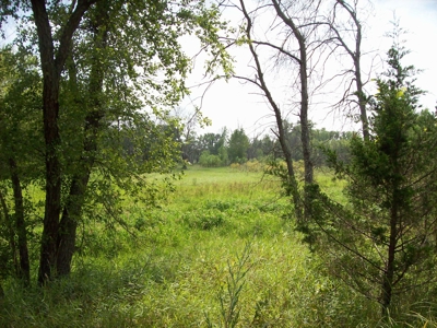 Trophy Whitetail Deer Hunting Property Columbia County WI - image 18