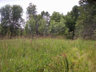 Trophy Whitetail Deer Hunting Property Columbia County WI - image 34