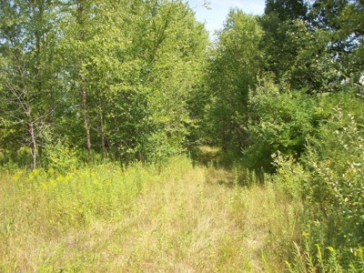 Trophy Whitetail Deer Hunting Property Columbia County WI - image 4