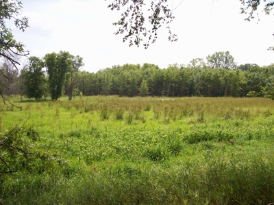 Trophy Whitetail Deer Hunting Property Columbia County WI - image 13
