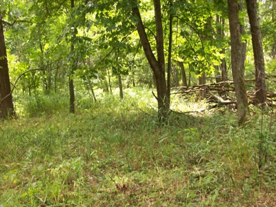 Trophy Whitetail Deer Hunting Property Columbia County WI - image 40