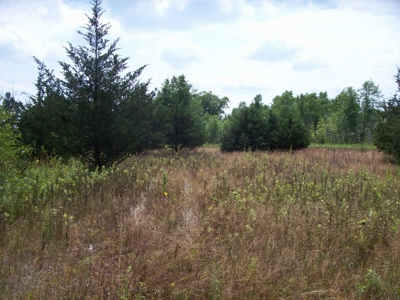 Trophy Whitetail Deer Hunting Property Columbia County WI - image 24