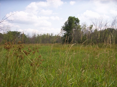 Trophy Whitetail Deer Hunting Property Columbia County WI - image 33
