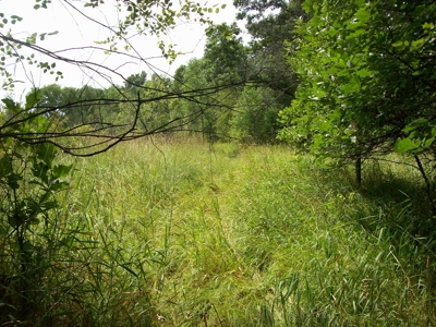 Trophy Whitetail Deer Hunting Property Columbia County WI - image 32