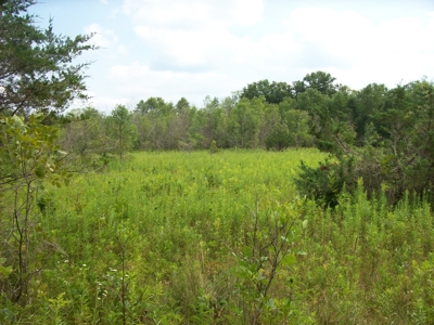 Trophy Whitetail Deer Hunting Property Columbia County WI - image 45